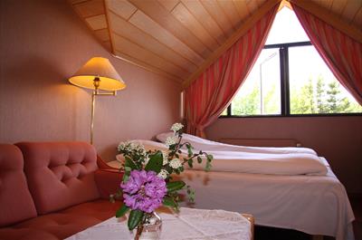 Alver Hotel - Dobbeltrom