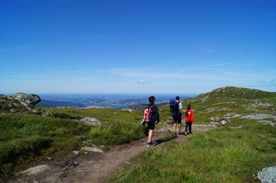 Vidden er en fin tur for hele familien