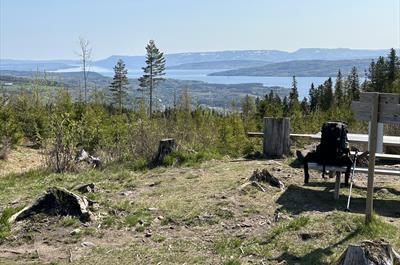 Brumunddal Brass  med dirigent  Erling J. Myrseth. Konsert på Bjørgeberget  Søndag 11. juni. Kl 14.00