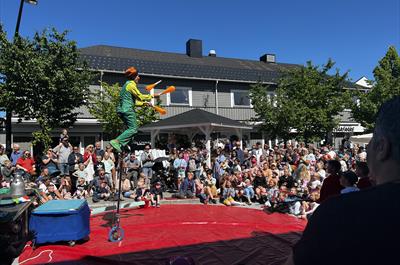 Sirkusshow og sirkusskole med Mr. Toons