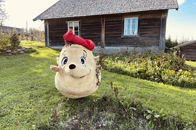 Bolla Pinnsvin i potetåkeren