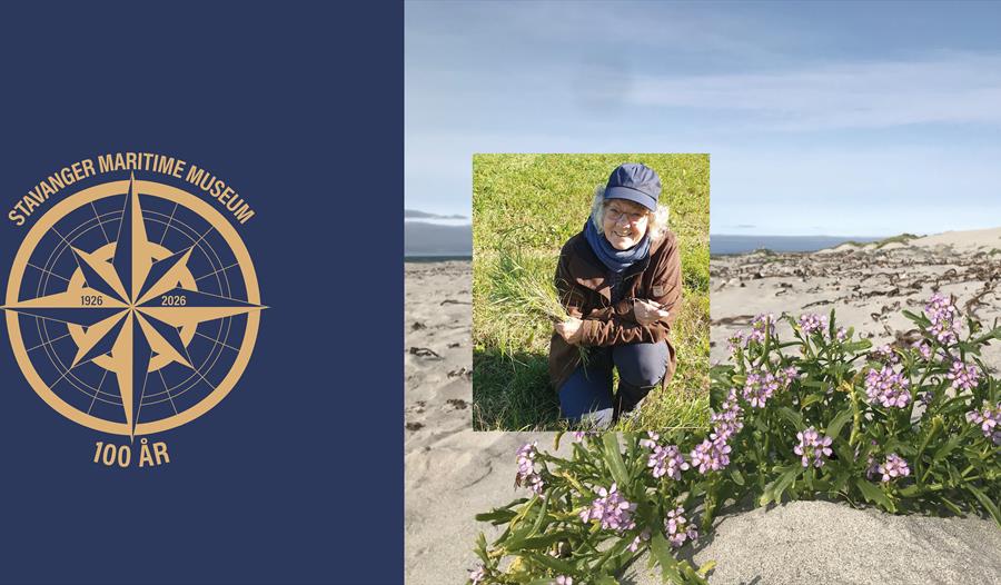 Ellen Tjørnhom Bøe  og strandreddik som vokser på Jærstrendene