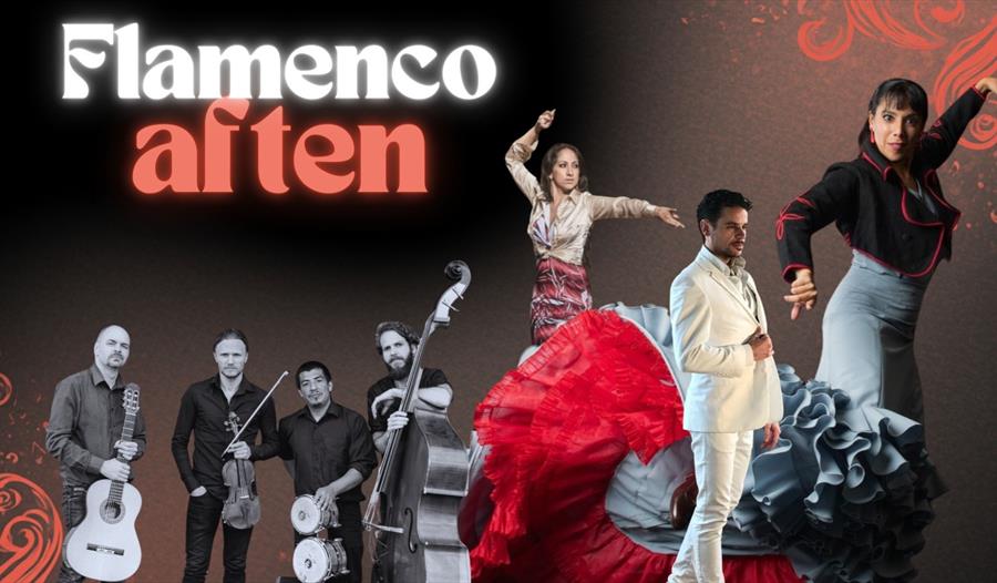 Deltakere i Flamencoaften