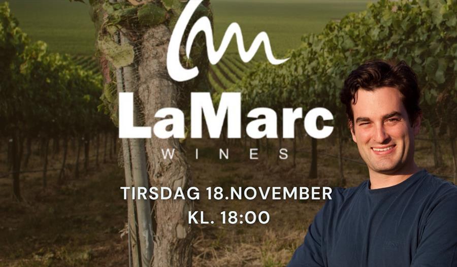 Fjellskål × Gavin Chanin