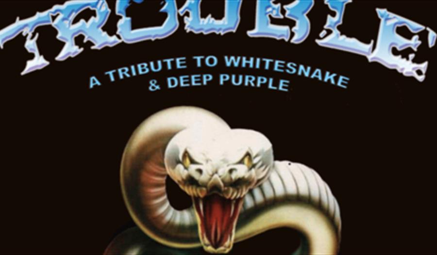 Advert for the concert with Whitesnake