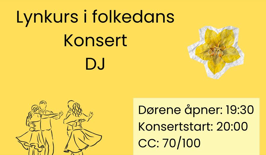 FOLKEDANSKVELD
