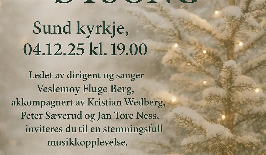 Julekonsert damekoret Øysong