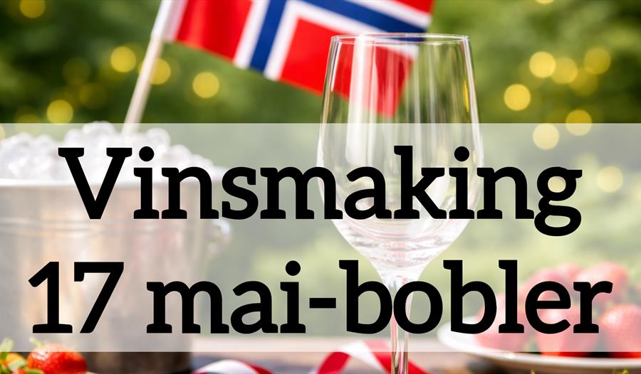 Vinsmaking – 17. mai-bobler