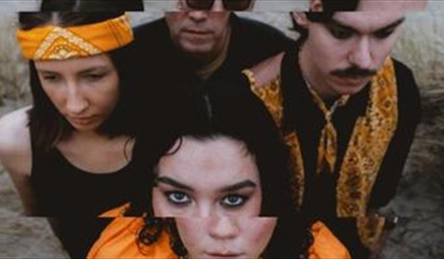 Roadside Lillies rockeband