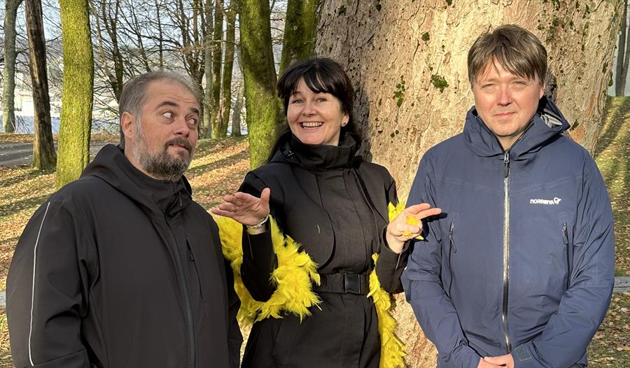 Bandet Kråkebollane