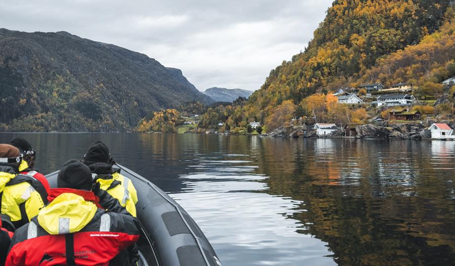 Fjordsafari i RIB-båt frå Norheimsund på Hardangerfjorden omgitt av haustfargar og mektige fjell.
