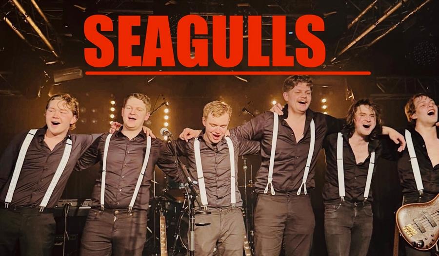 Seagulls - Kvarteret, 18. april!