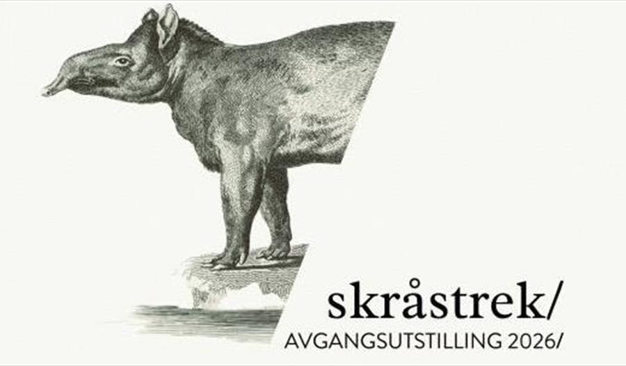 Annonse om Skråstrek/ utstilling med noe dyr som ligner tapir