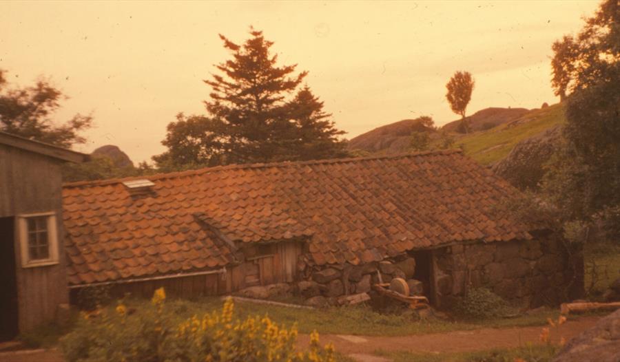 Kystgård