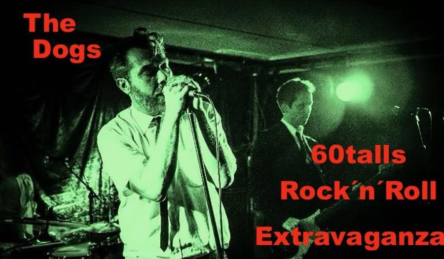 Band The Dogs på konserten