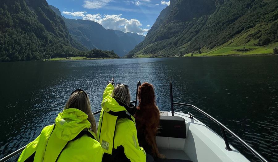 Luster Fjordhytter - guida båttur