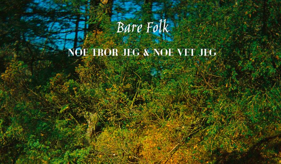 Bare Folk på Bergendal