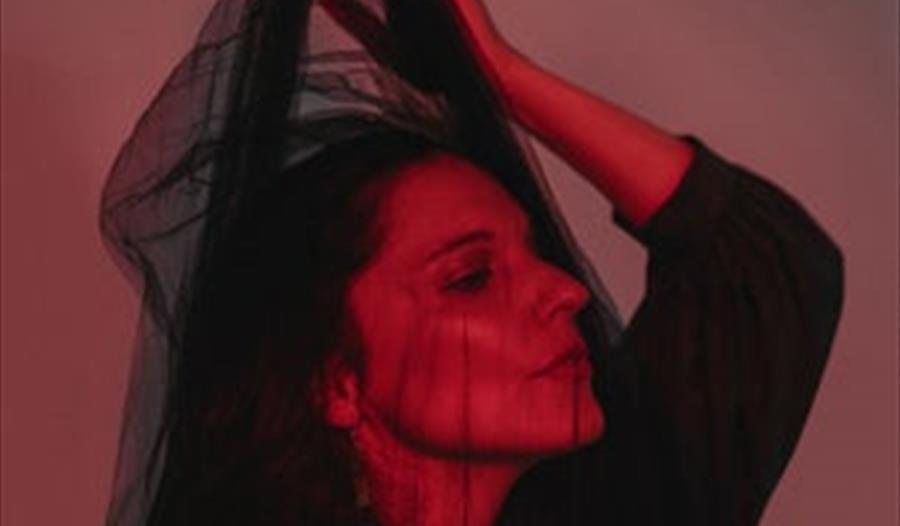 Bilde av fremførende artist