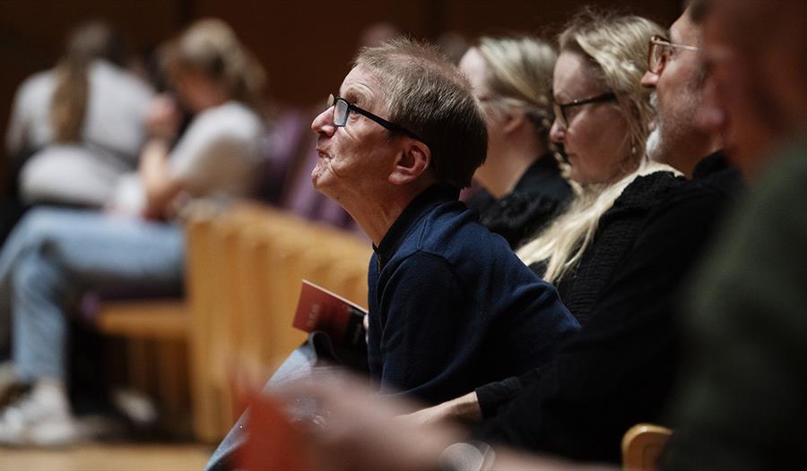 Tilskuere sitter i salen og ser på forestillingen