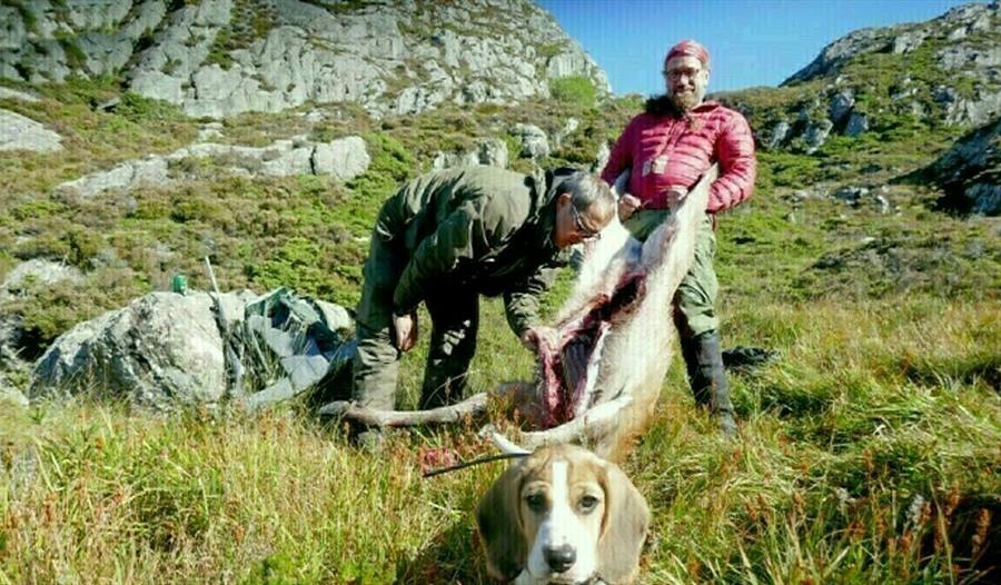 Feltkontrollørkurs Sotra - Hjeltefjorden arena