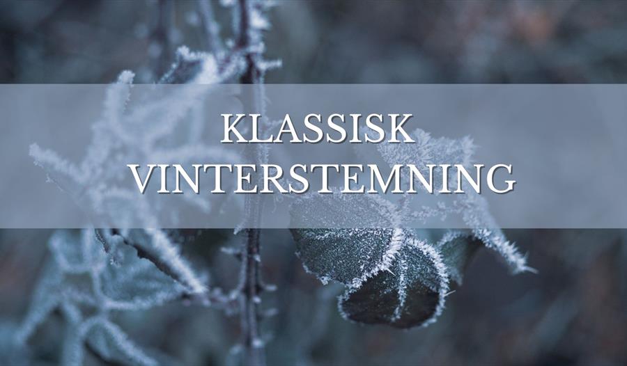 Frosne treblader og Klassisk vinterstemning skrevet på
