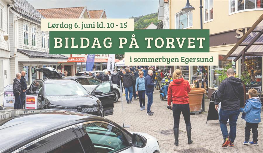 Bildag på Torvet