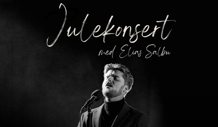 Julekonsert med Elias Salbu