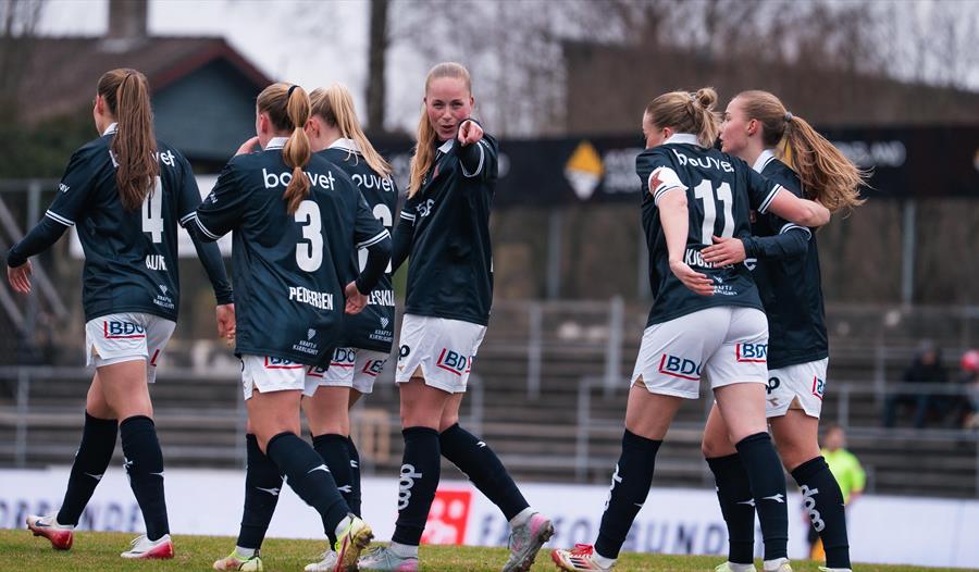 Viking kvinner i kampen