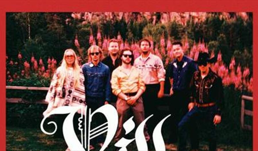 Band Villblome i hagen