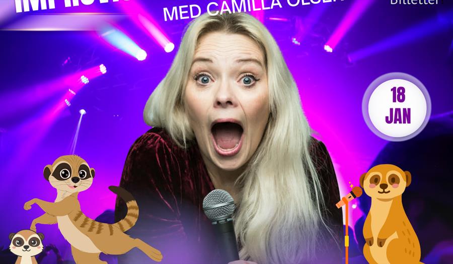 Camillamiks barneshow!