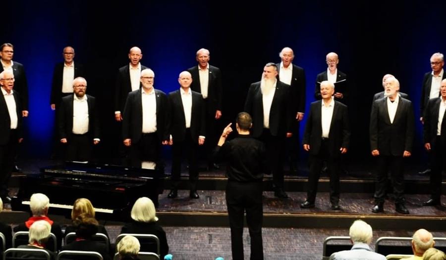 Ei godhjerta stjerne