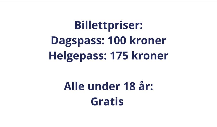 U16/U19 NM Basketball