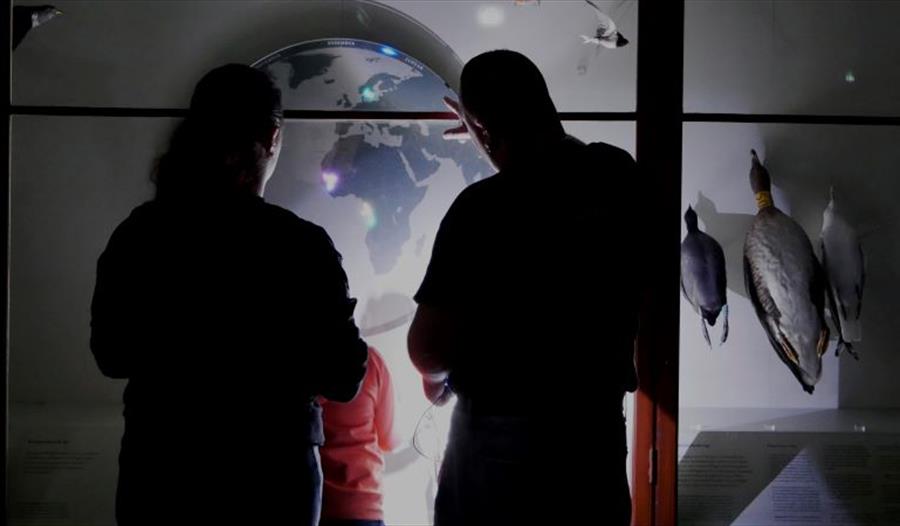 Universitetsmuseet i Bergen