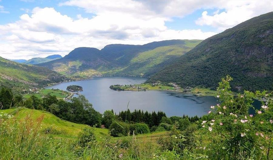 Kveldscruise Barsnesfjorden