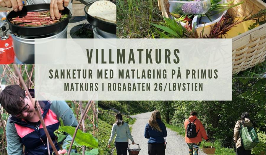 Matkurs: Villmatkurs med sanking og primus
