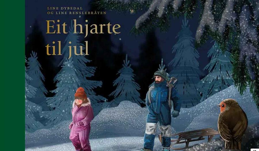 bokomslag Eit hjarte til jul