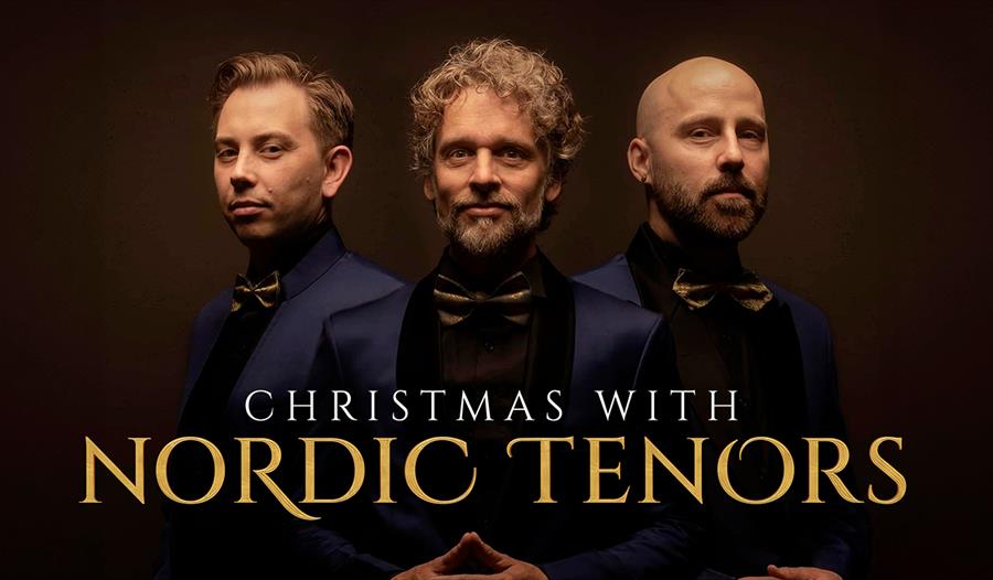 Nordic Tenors poster