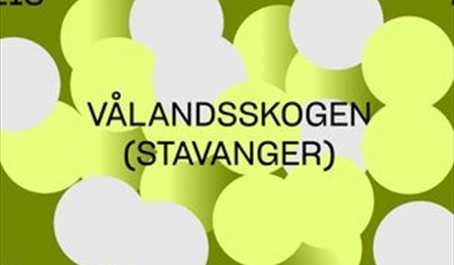 Gule og hvite sirkler med skrift på.