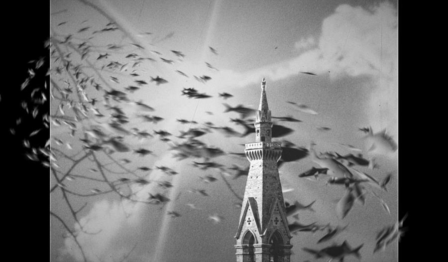 Women Calling the Shots