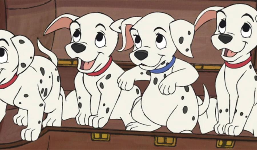 101 Dalmatins