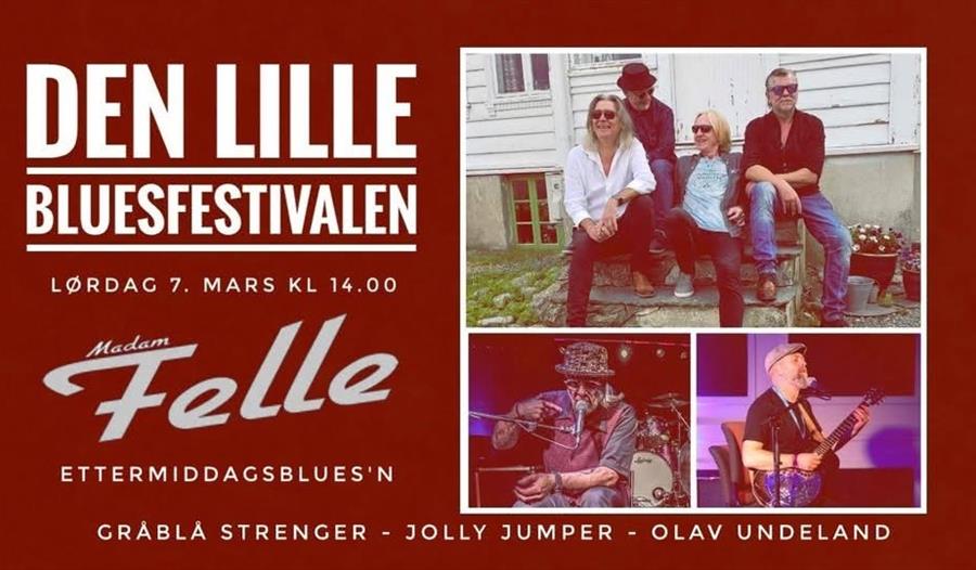 DEN LILLE BLUESFESTIVALEN