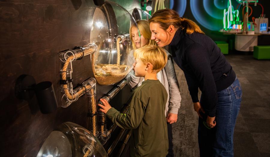 Lær om kretsløp i naturen på VilVite