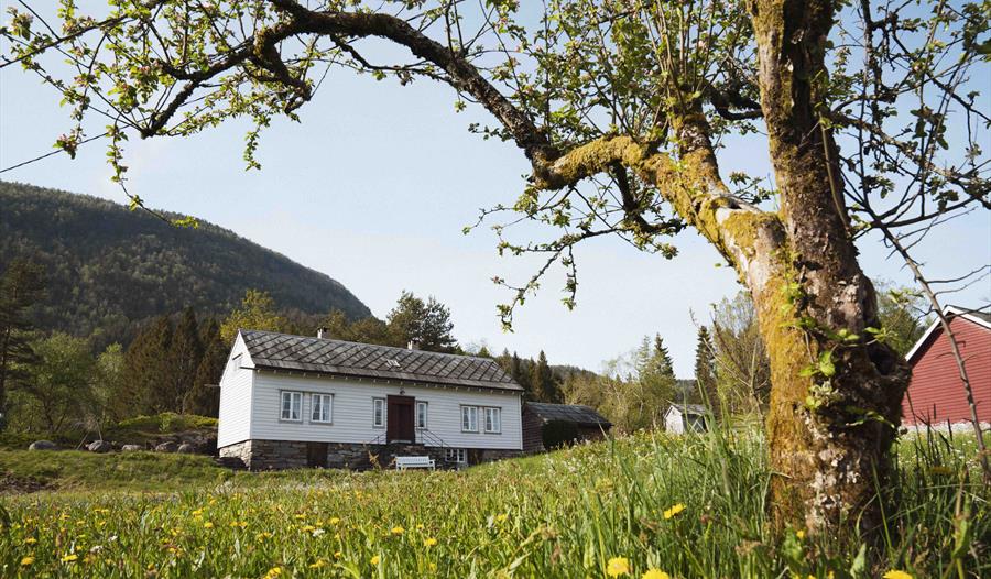 Hvit trehus i Nestunet omgitt av grønn eng og blomstrende trær med fjell i bakgrunnen.