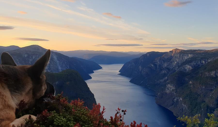 Tur til Hovdungo, Undredal