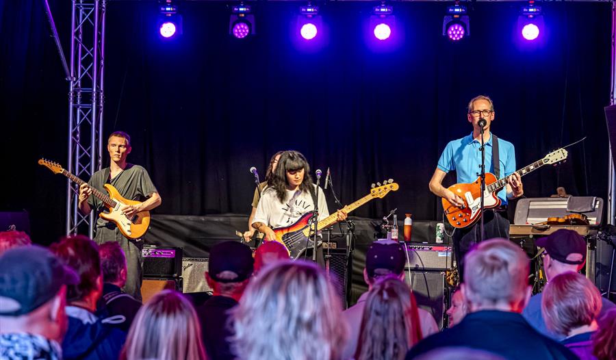 People at concerts at the Egersund Visefestival