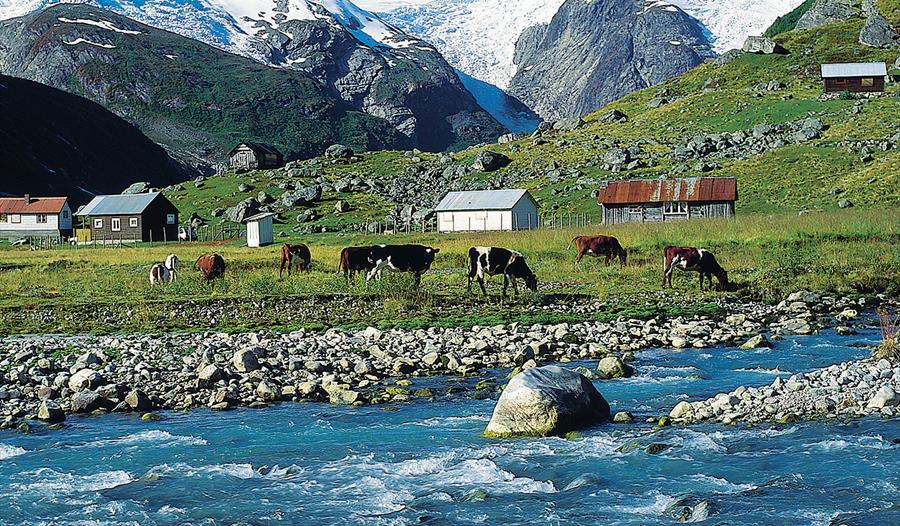 Tungestølen-Austerdalsbreen