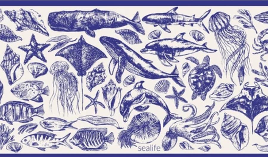 "Save the Whale, Screw the Shrimp"