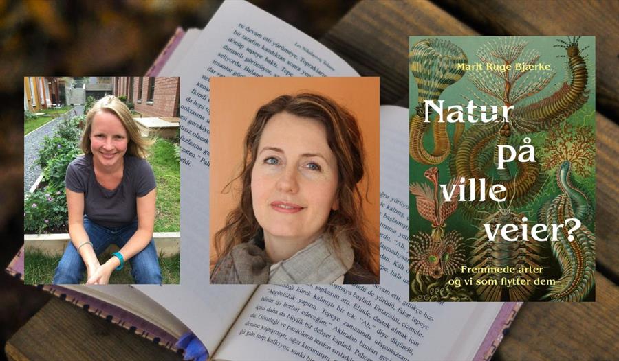 SAK #STEDET: Natur på ville veier?