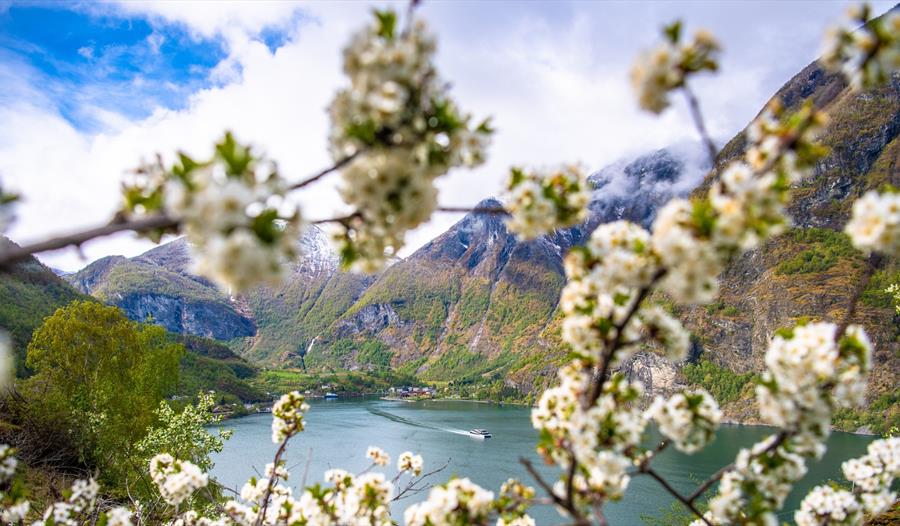 Flåm
