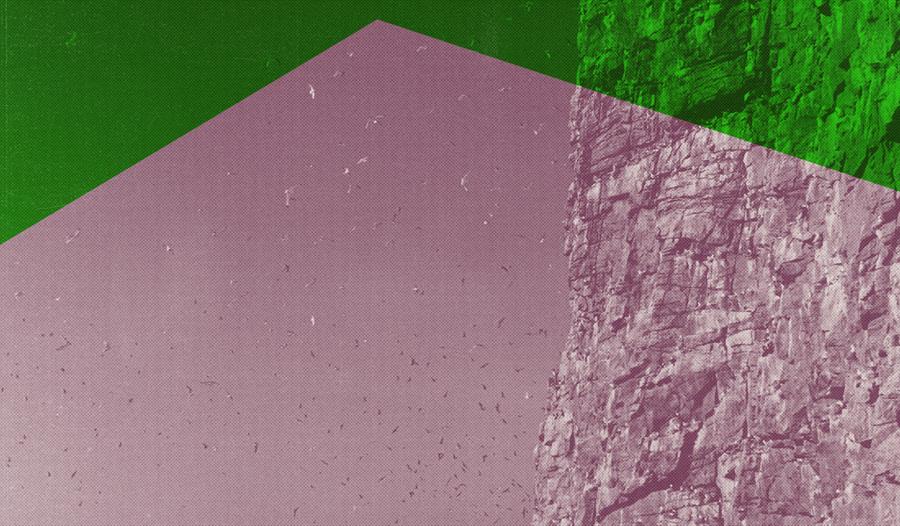 Vedøya – Klagesanger til fuglefjellet som mista stemmen